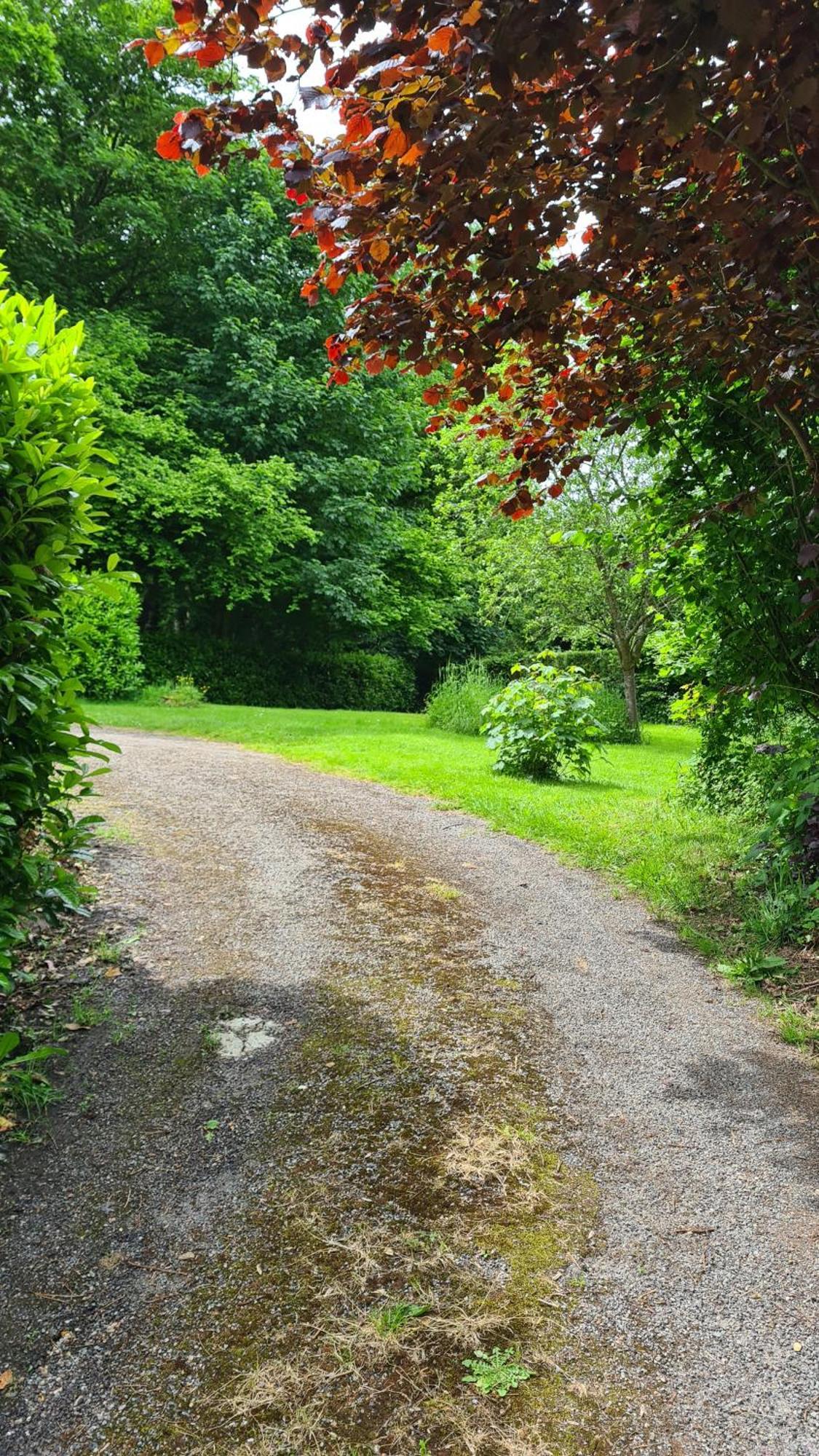 La Taniere Villa Gueures Buitenkant foto