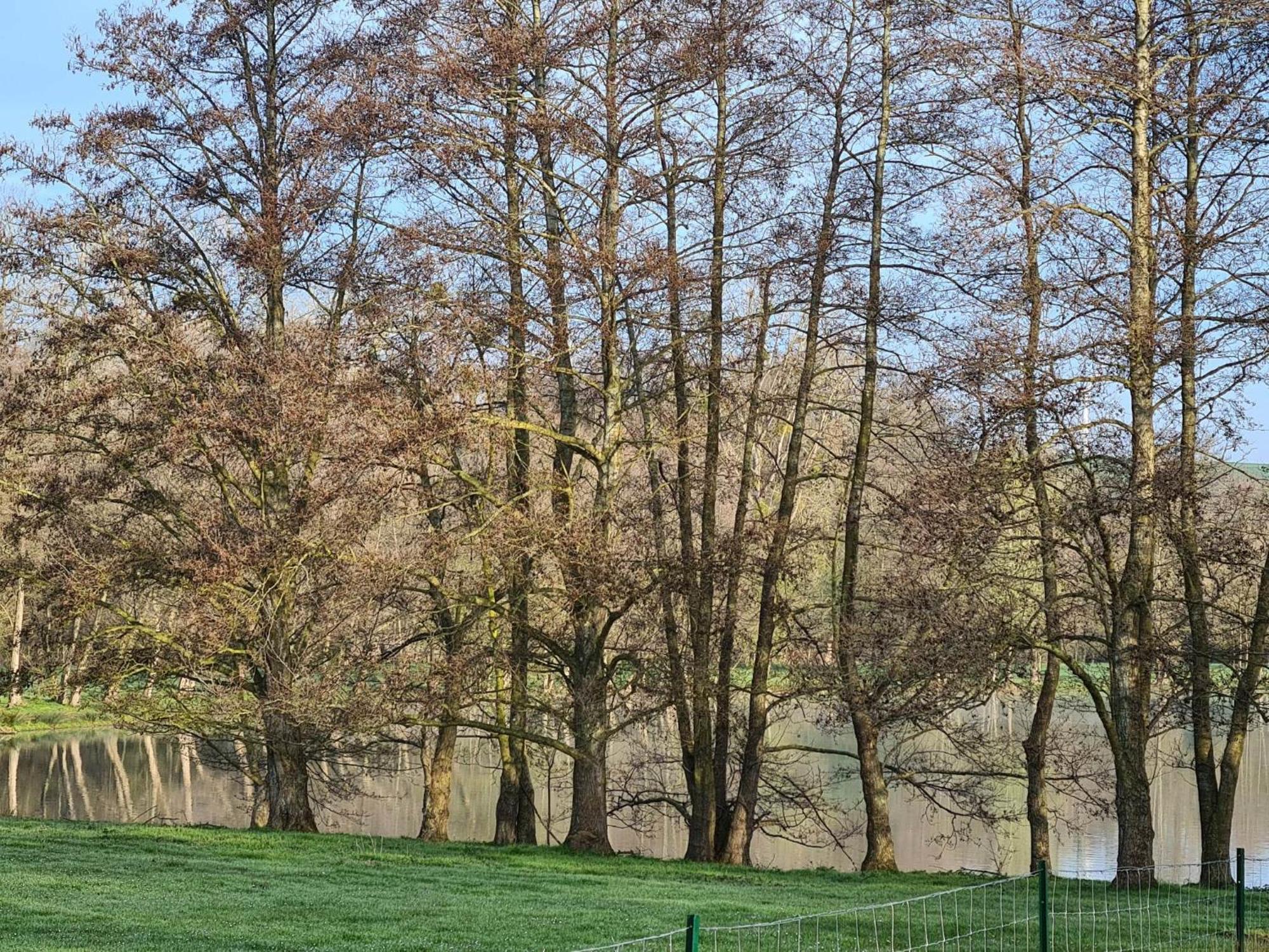 La Taniere Villa Gueures Buitenkant foto